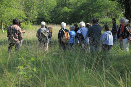 Ballade botanique sur la zone humide des terres de la SCI de Kervel