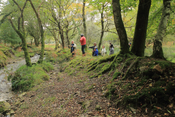 Ballade dans la zone humide sur les terres basses de la SCI de Kervel - PNRA à Hanvec